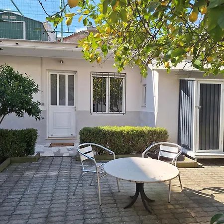 Garden Apartment